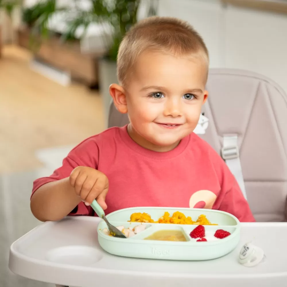 Assiette ventouse à compartiments-HOPTOYS Clearance