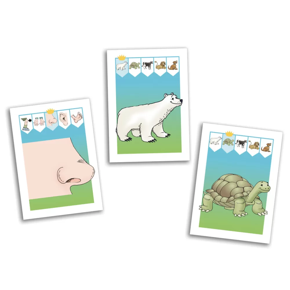 AU ROYAUME DES CATÉGORIES-HOPTOYS Cheap