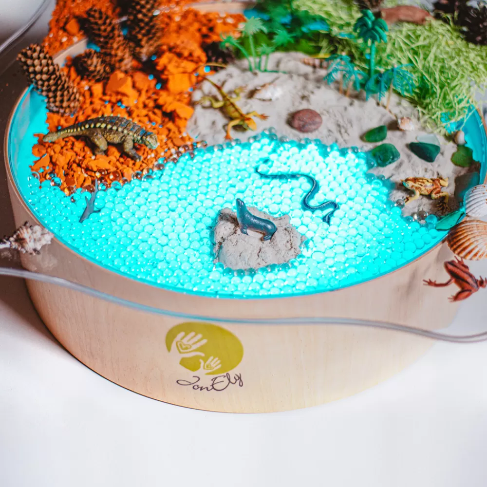 Bac d'exploration Magic Light - translucide-HOPTOYS Flash Sale