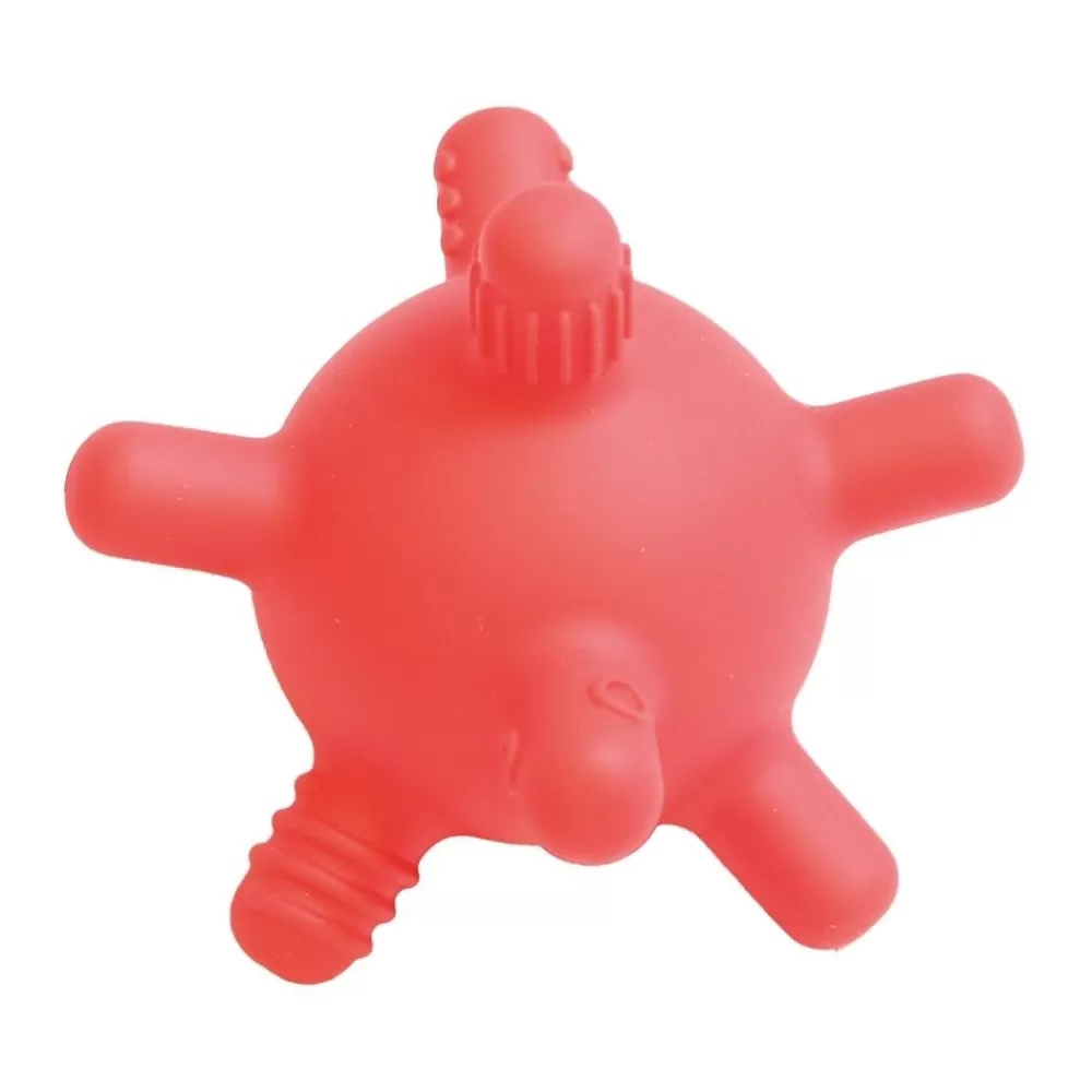 Balles de dentition par 3 --HOPTOYS Online