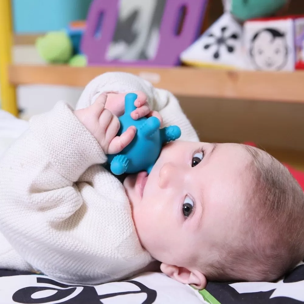 Balles de dentition par 3 --HOPTOYS Online