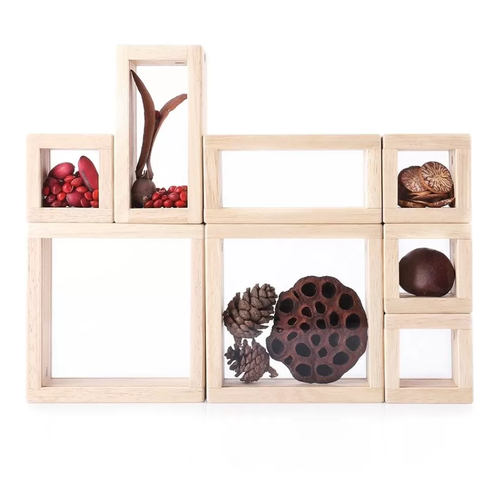 Blocs à trésors transparents --HOPTOYS Shop