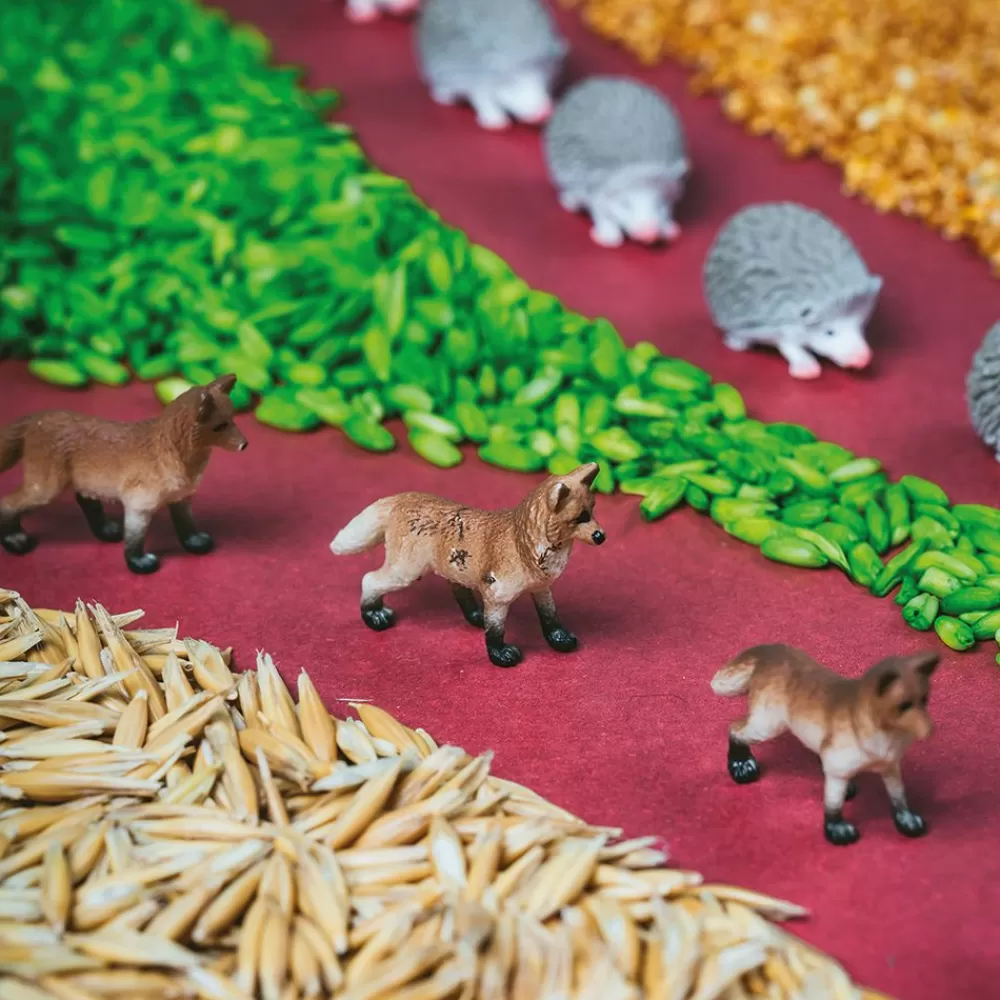 Bouteille sensorielle Spy - Forêt-HOPTOYS Cheap