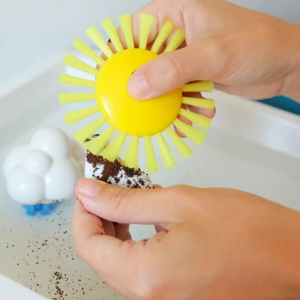 Brosse soleil --HOPTOYS Clearance