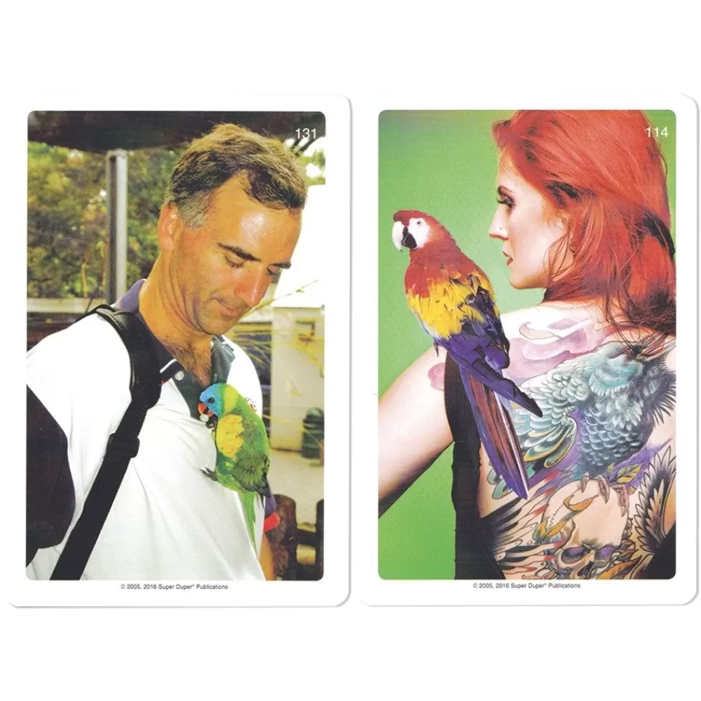 Cartes à histoires Webber --HOPTOYS Shop