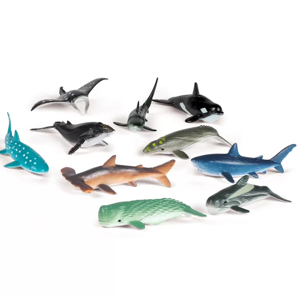 Compteurs créatures des océans-HOPTOYS Best