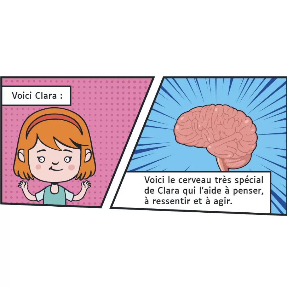 Il était une fois à Neurodiver-Cité !-HOPTOYS Outlet