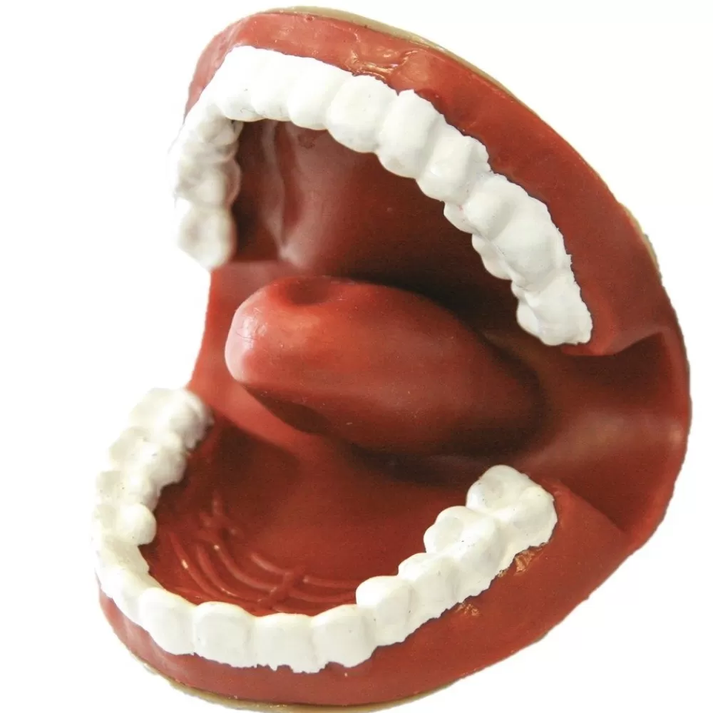 LA MARIONNETTE BAVARDE-HOPTOYS Clearance
