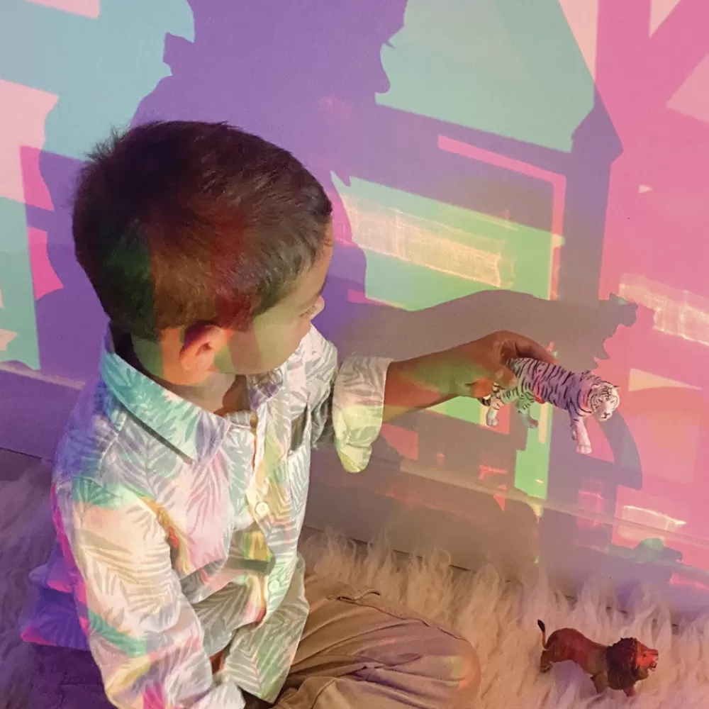 La vie sauvage - les félins --HOPTOYS Discount