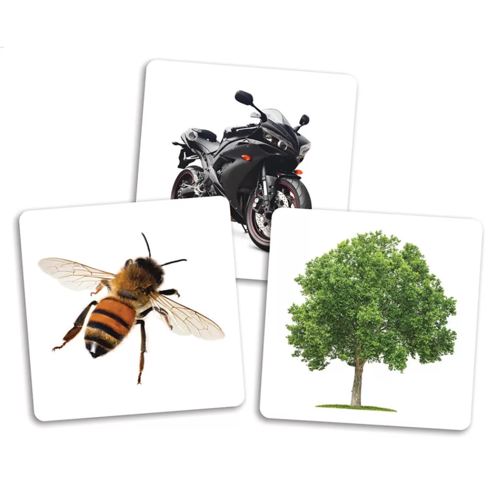 Le dé des premiers mots - cartes supplémentaires --HOPTOYS New
