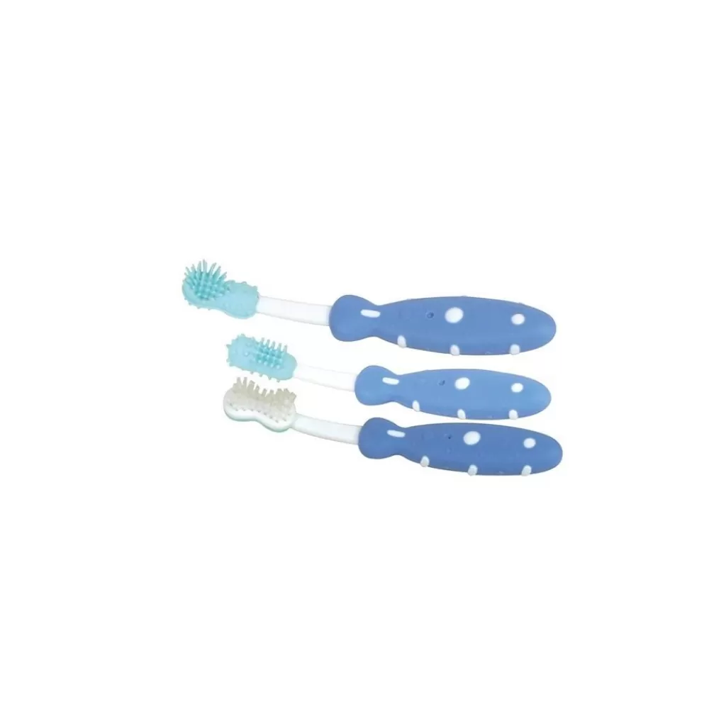 LES 3 BROSSES BUCCALES-HOPTOYS Discount