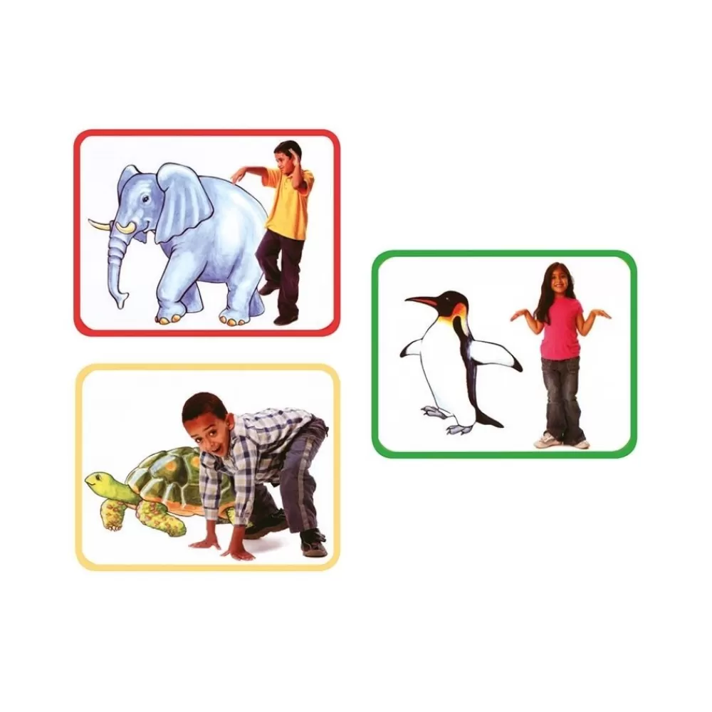 LES CARTES ANIMALIERES-HOPTOYS Fashion