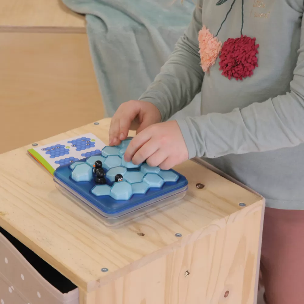 Les pingouins plongeurs --HOPTOYS Best