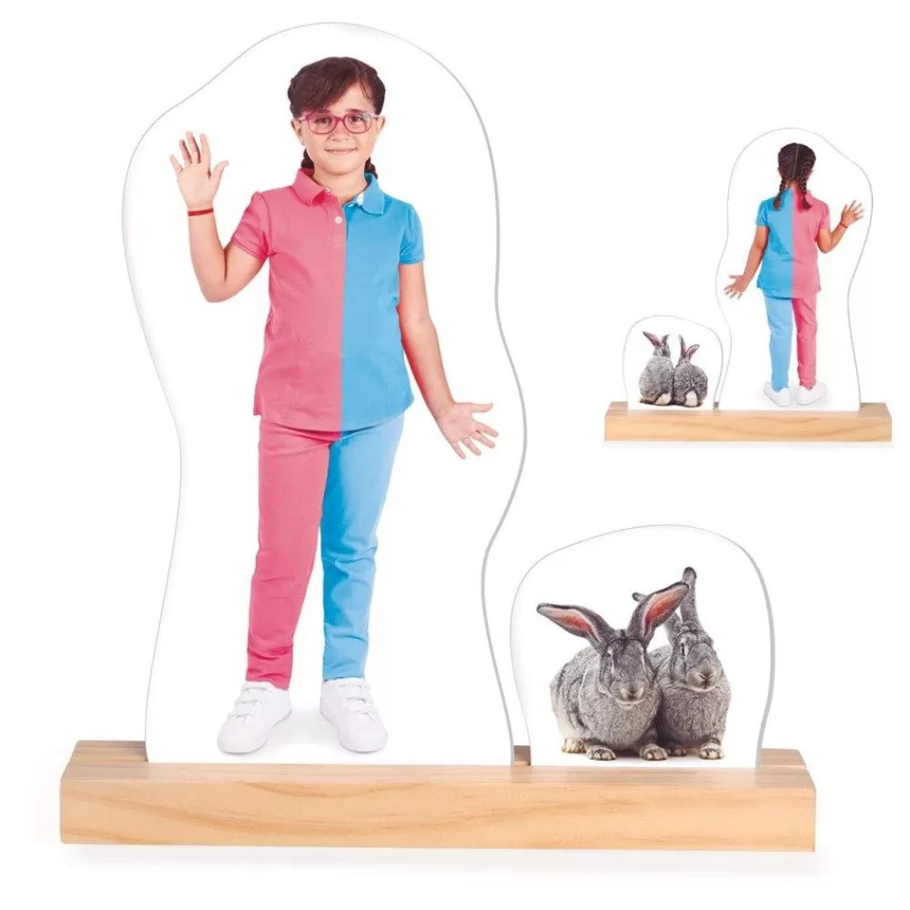Ma droite et ma gauche --HOPTOYS Cheap
