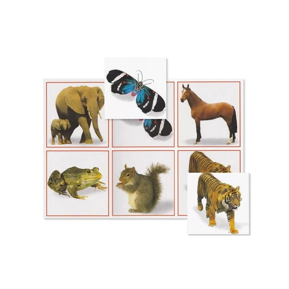 MAXILOTO ANIMAUX-HOPTOYS Online