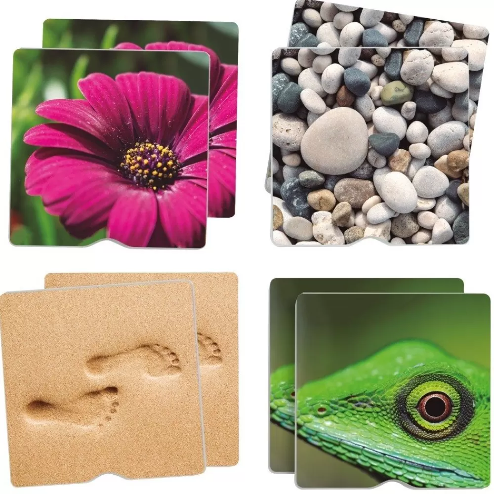 Maxi-memory tactile de la nature --HOPTOYS Clearance