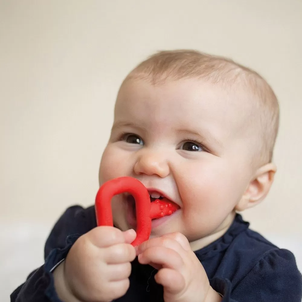 MINI CHEW-HOPTOYS Best Sale