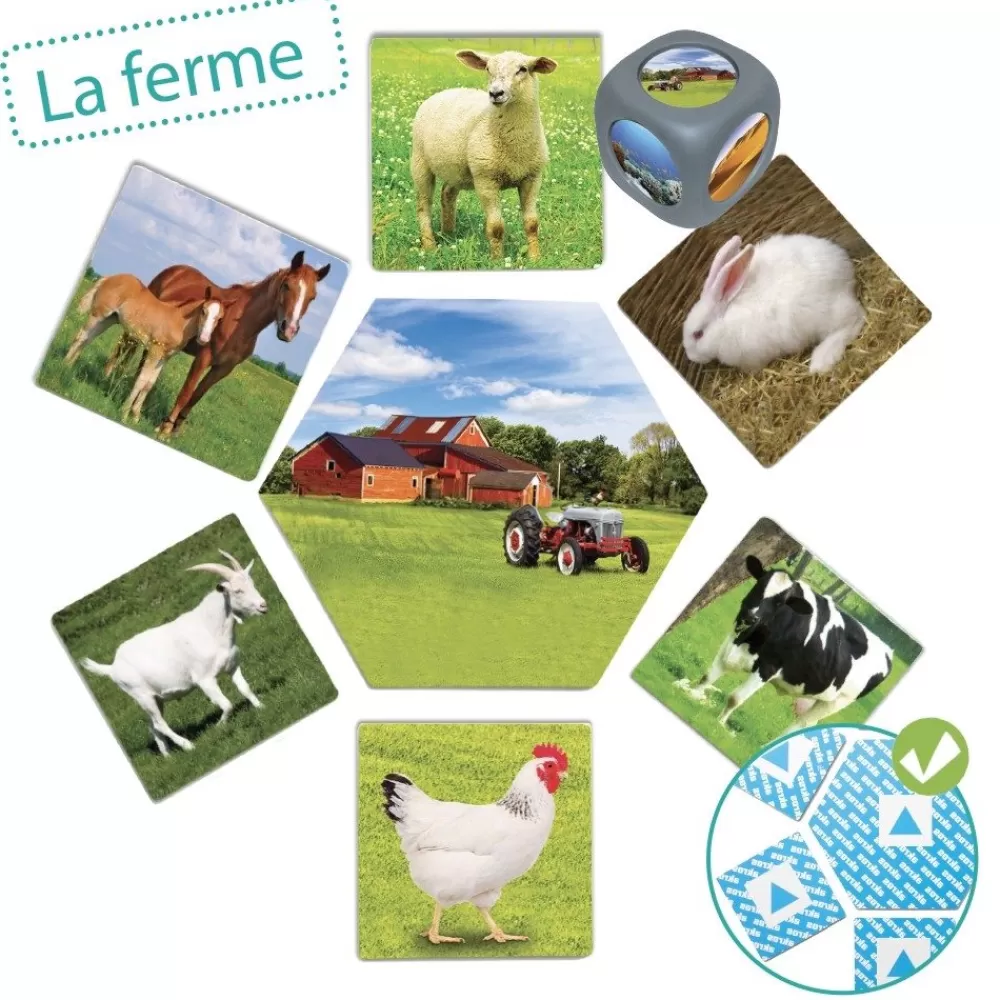 Où les animaux vivent-ils ? --HOPTOYS Sale