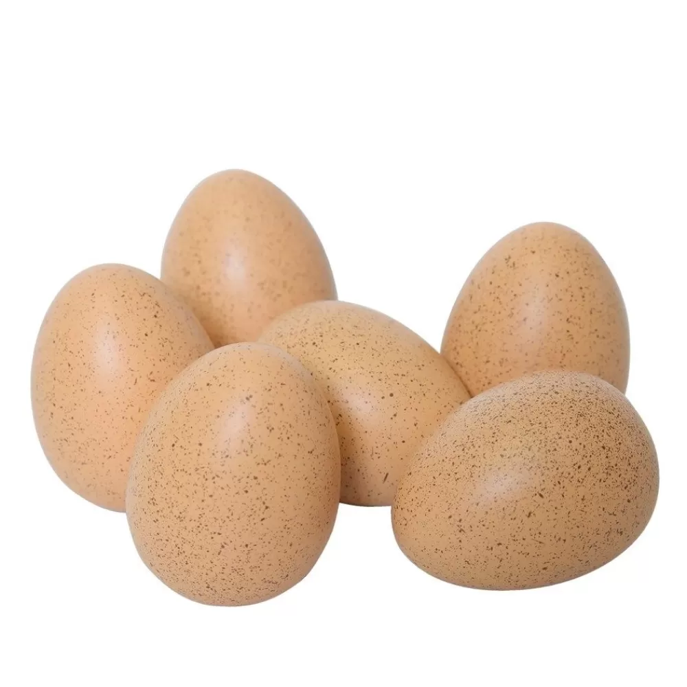 Oeufs sonores par 6 --HOPTOYS Discount