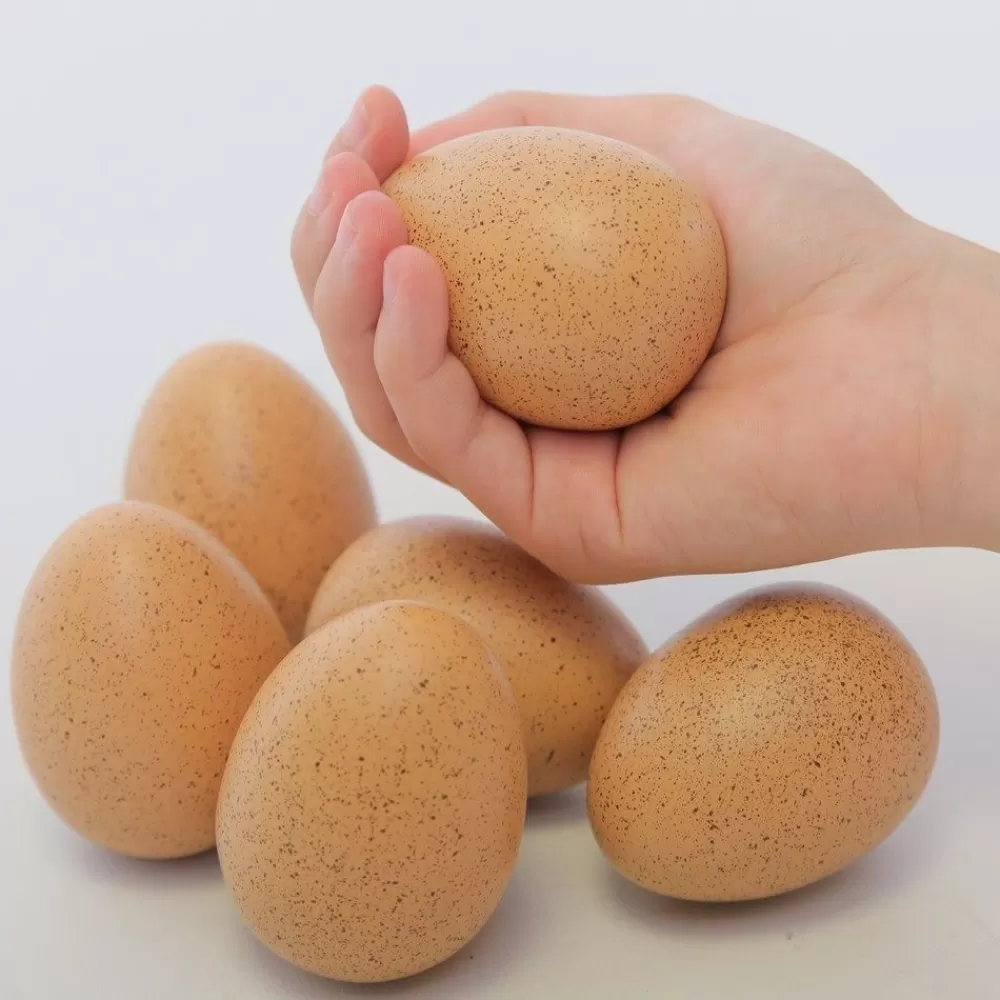 Oeufs sonores par 6 --HOPTOYS Discount