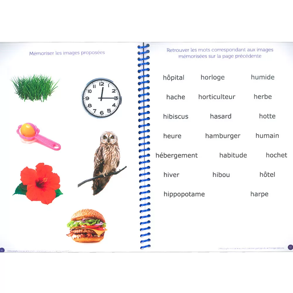 Orthographe lexicale-HOPTOYS Cheap
