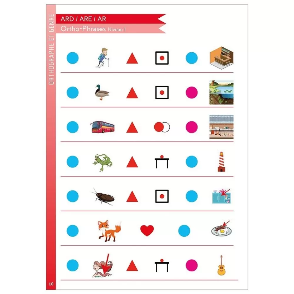 Orthographies --HOPTOYS Sale