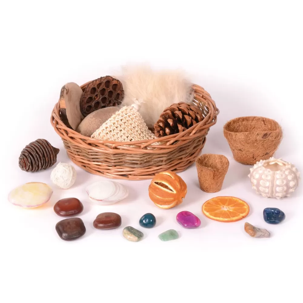 Panier d'objets naturels-HOPTOYS Discount