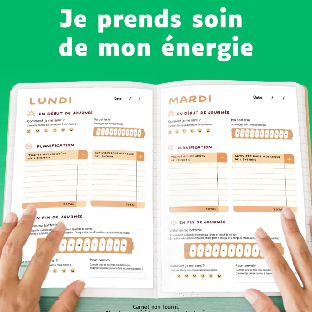 Planificateur et tracker d'énergie-HOPTOYS Online