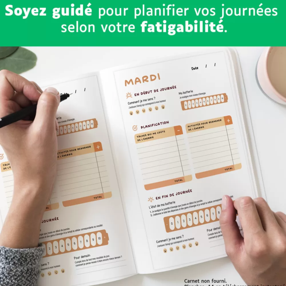 Planificateur et tracker d'énergie-HOPTOYS Online