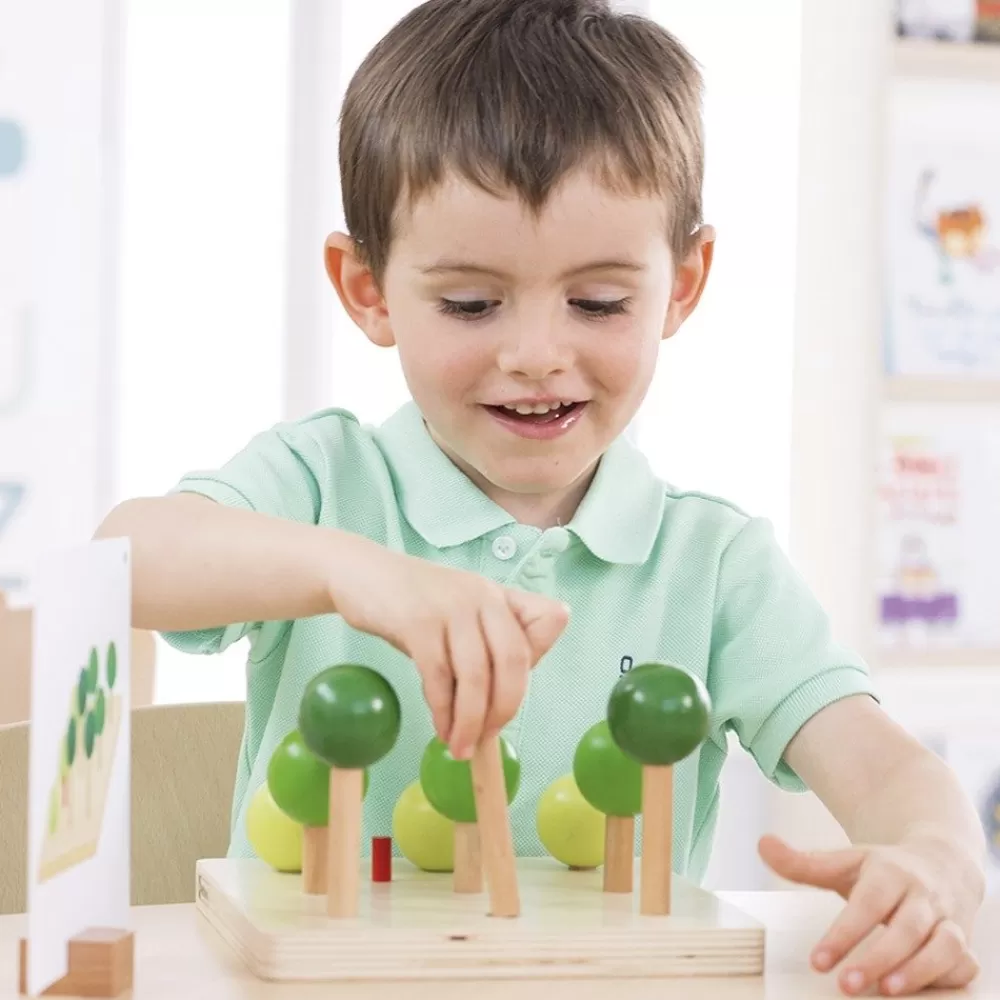Repérage en foret --HOPTOYS Cheap