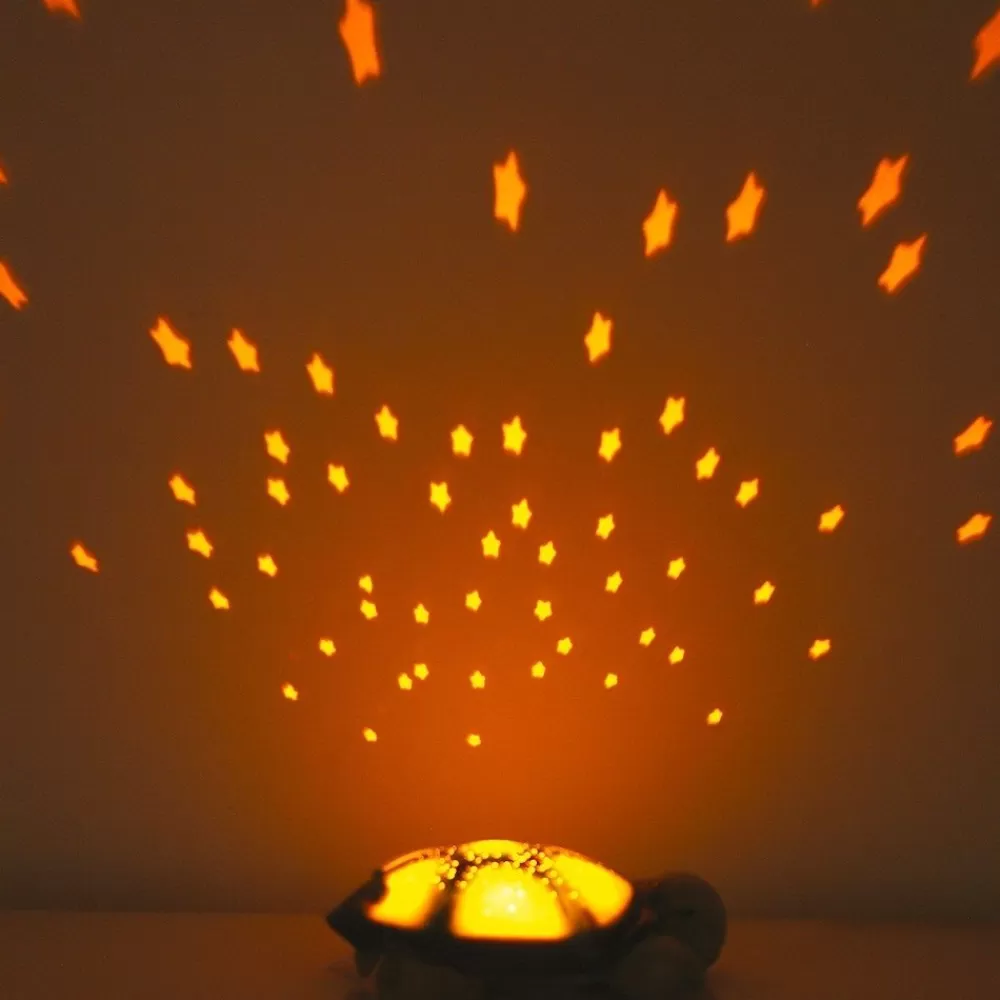 Tortue projecteur-HOPTOYS Flash Sale