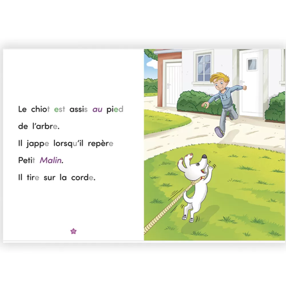 UN AMI FIDELE-HOPTOYS Store