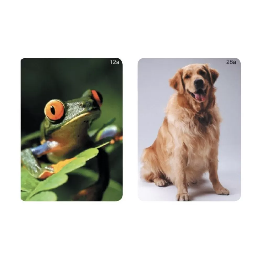 WEBBER - LES ANIMAUX-HOPTOYS Store